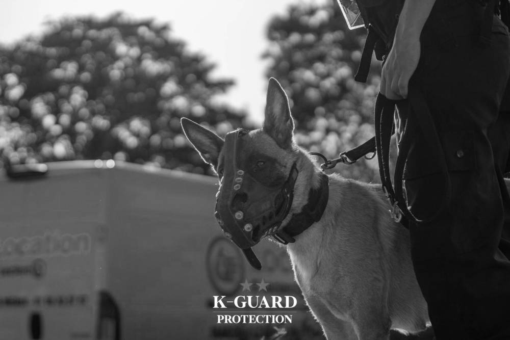 agent_cynophile_k_guard