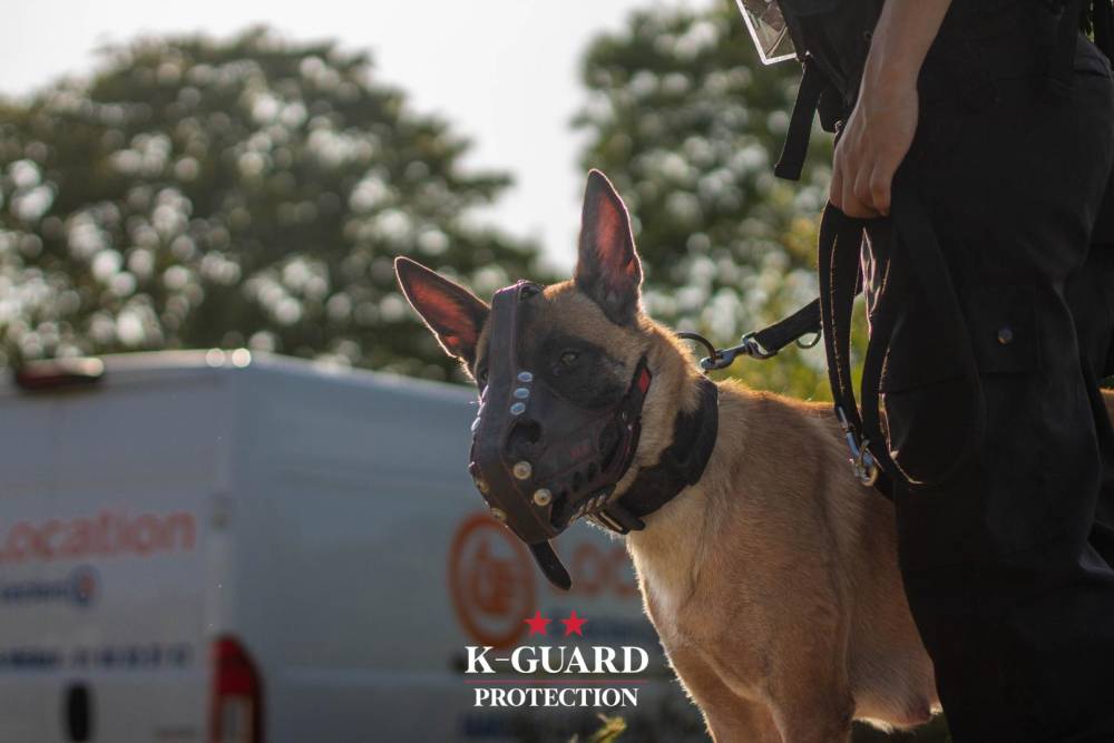 agent_cynophile_k_guard