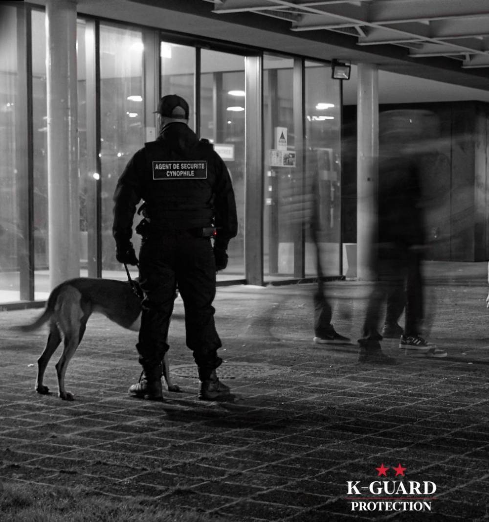 agent_cynophile_k__guard